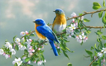  fleurs - bluebirds avec des fleurs oiseaux